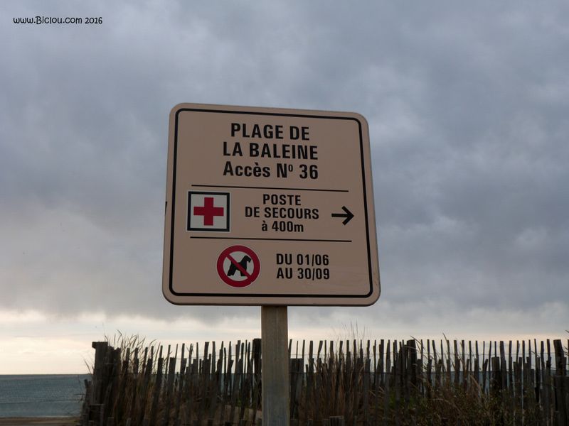 Plage de la Baleine Sète