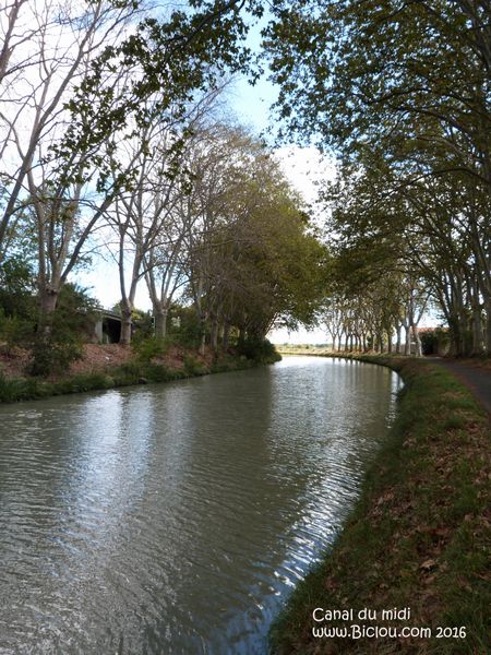 Une photo classique du canal du midi, claudio n'y échappe pas..