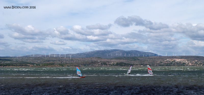 La tramontane, si elle fait le bonheur des eoliennes et des surfeurs, ici, gêne fortement le cycliste