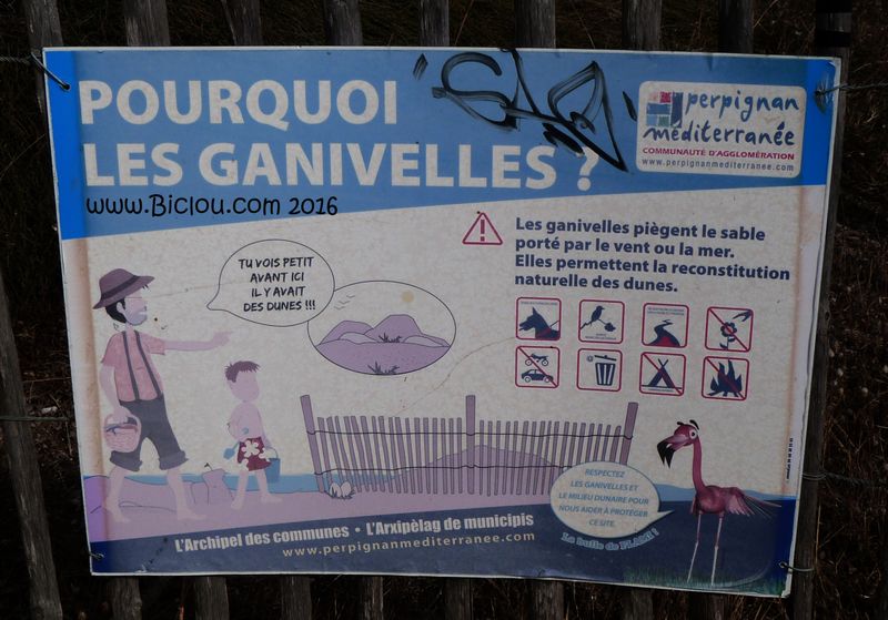Les ganivelles de la plage