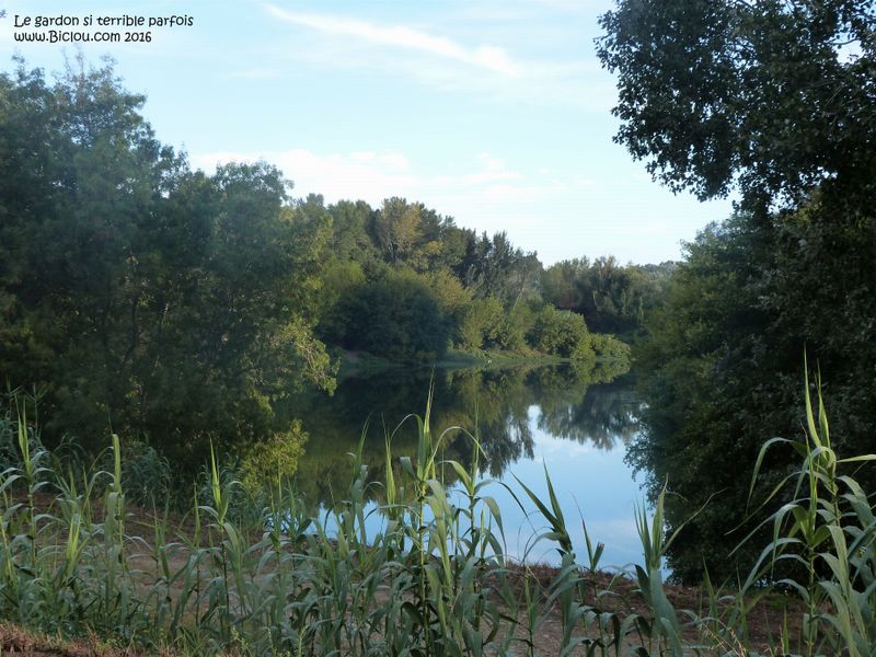 Le Gardon, est pourtant une rivière très calme ..