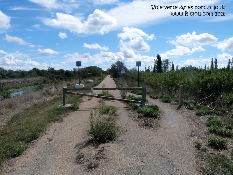Les herbes folles gagnent sur la voie verte, Arles Port saint Louis, qui du coup est vraiment verte