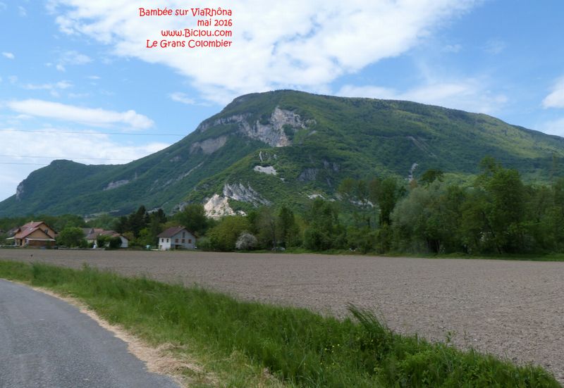 Le grand Colombier vu de la plaine du Rhône