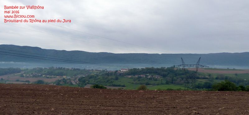 ViaRhôna : brouillard du Rhône au pied du Jura
