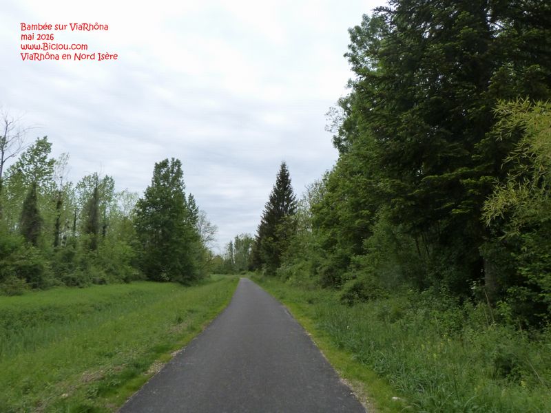 En vélo Simone sur la voie verte ViaRhôna du Nord Isère en 2016 