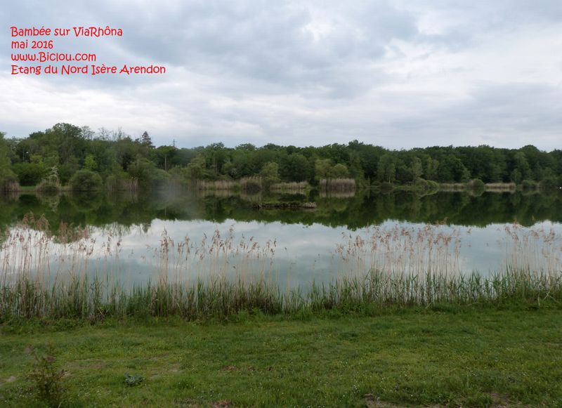 ViaRhôna : Etangs du Nord Isère, côté d'Arendon