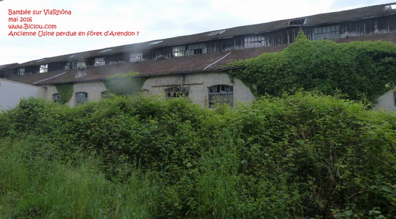 Viarhôna en Nord Isère 2016 : Encore une Ancienne usine