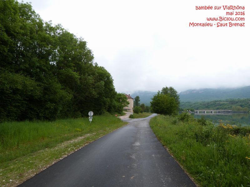 Beau ruban noir en mai 2016 sur ViaRhôna entre Montalieu-Vercieu et Sault-Brenaz