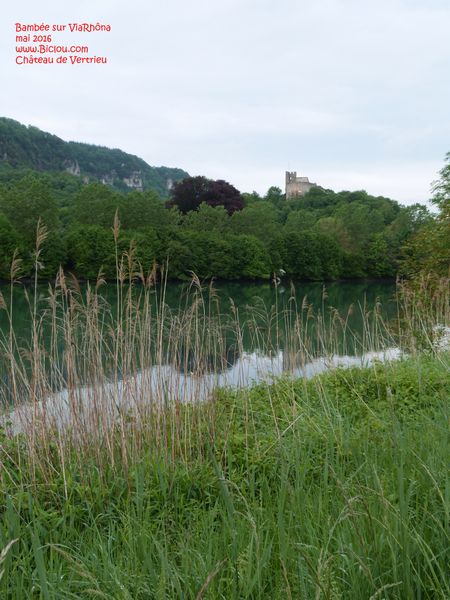 Le vieux château de Vertrieu , ou maison forte, vu en mai 2016