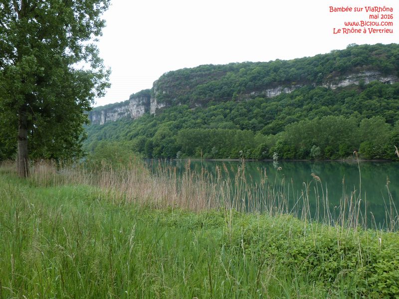 Les bords du fleuve Rhône à Vertrieu 2016