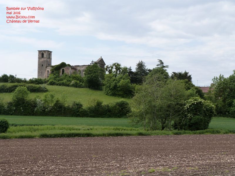 Château du Cingle à Vernas, vu en 2016