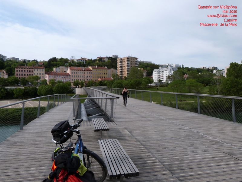 ViaRhôna Lyon 2016 ; Vue sur Caluire et .. cuir