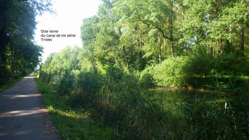 Le long du canal de la haute Seine à bicyclette, en 2016