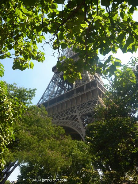 La Tour Eiffel, vue des arbres