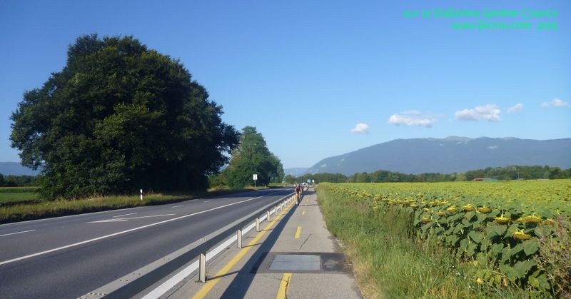 Une belle piste cyclable, une vraie entre Genève et Chancy