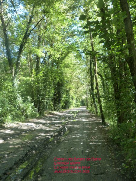 Berges de l'Isère en Grésivaudan, ca passe (en été) bien qu'un peu boueux..