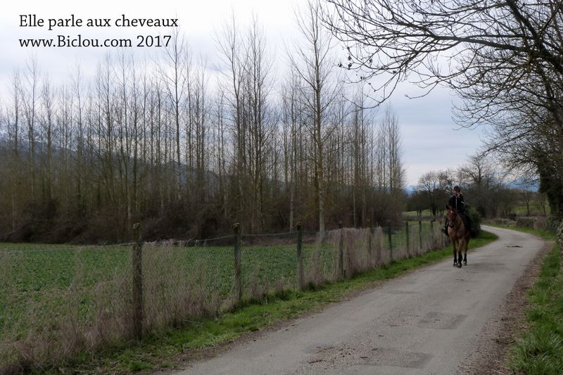 oui, mais Elle parle aux chevaux