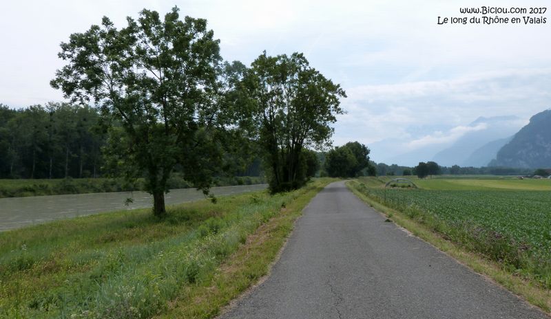 Le long du Rhône en valais en 2017 : asphalte à neuf sur Eurovélo 17