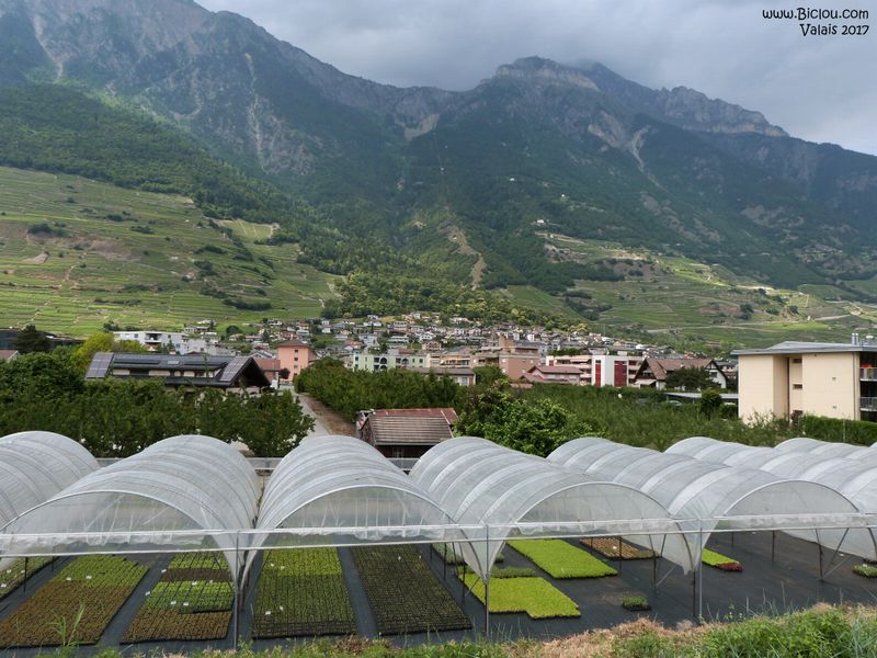 les Serres et cultures en Valais