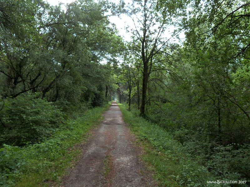 Sur le chemin, le long du Rhône vers Brig