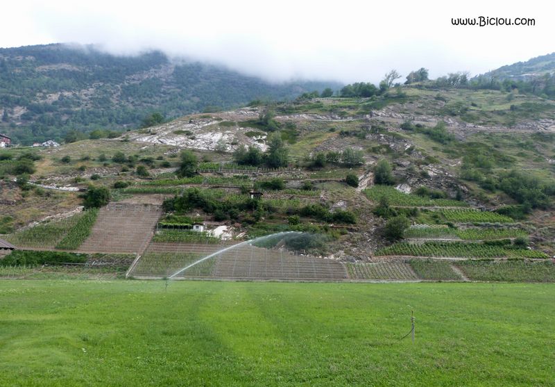 Cultures en plaine et vigne en terrasse : Arrosage en Valais