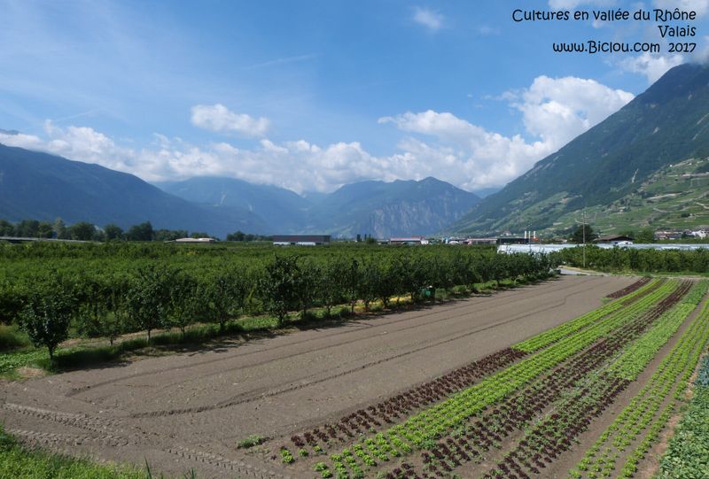 Cultures en vallée du Rhône Valais fully