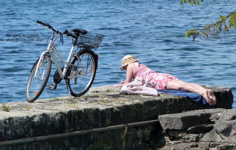 Bronzette des gambettes au bord du Léman 