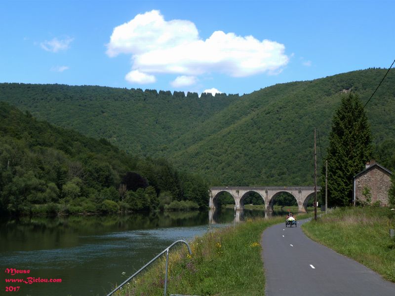 Créneaux arbustiers dessinés sur la Crête, le long de la Meuse