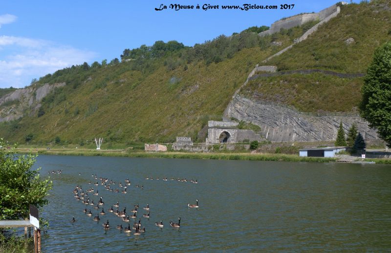 La Meuse en compagnie des Bernaches peu avant Givet