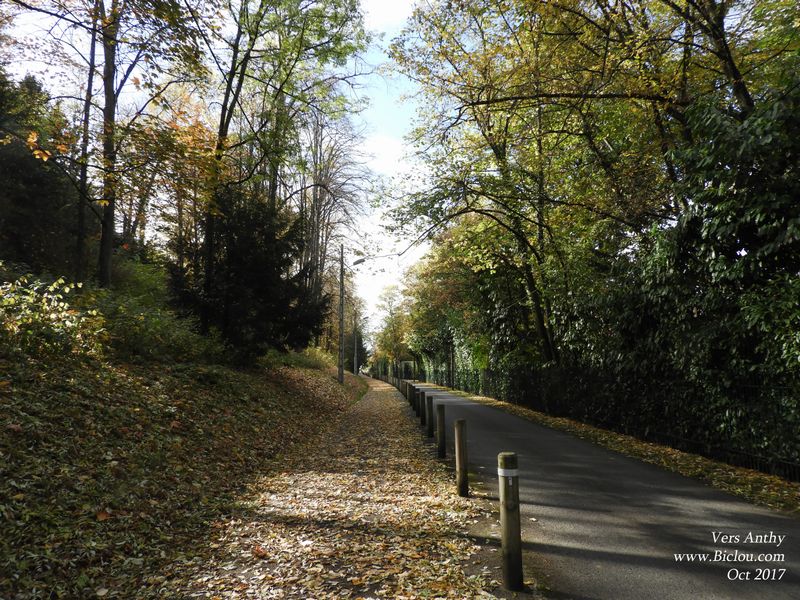 Thonon : Piste cyclable feuillue, vers Anthy
