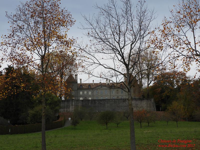Château de Prangins