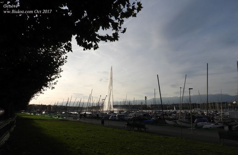 Le jet d'eau de Genève