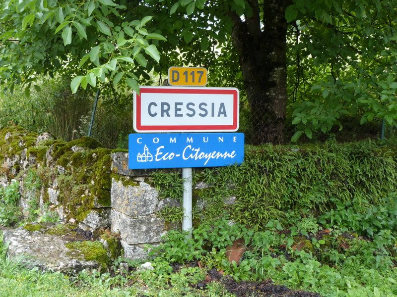 Cressia