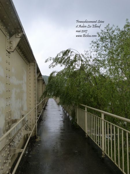 voie-verte-Elbeuf-Rouen-chemin-de-fer