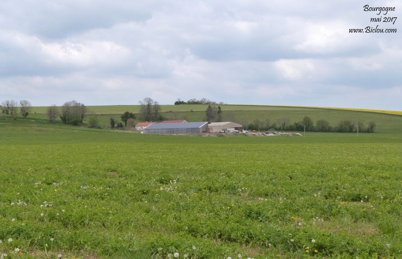 plateau du Châtillonnais, agricole mais la technologie de panneaux solaires