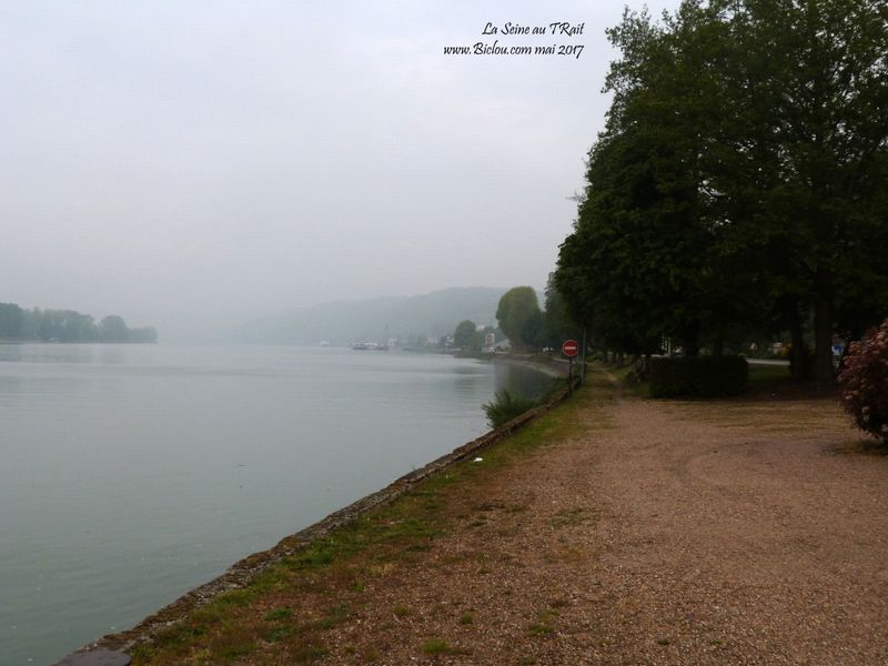 Vélo-route val de Seine Le Trait en 2017, sens interdit 7