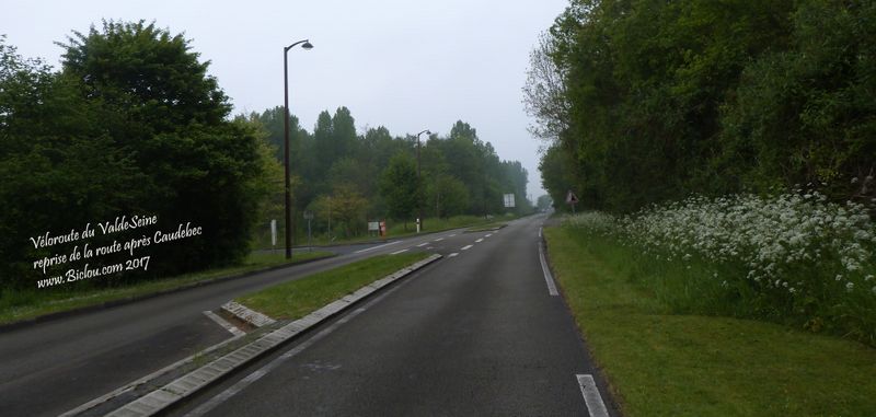 Fin de la voie verte de Caudebec en Caux, reprise de la route