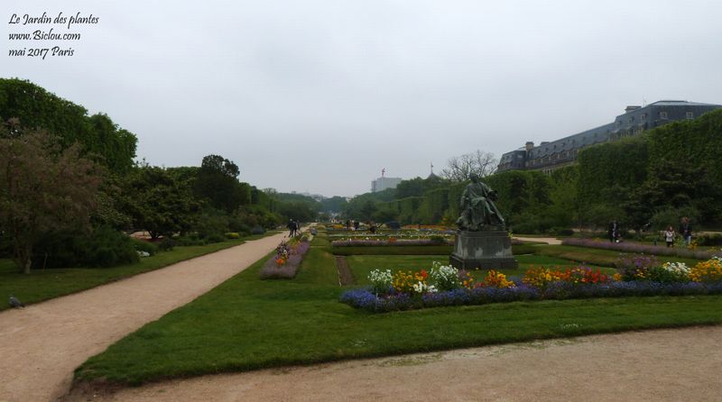 Jardin des plantes de Paris mai 2017