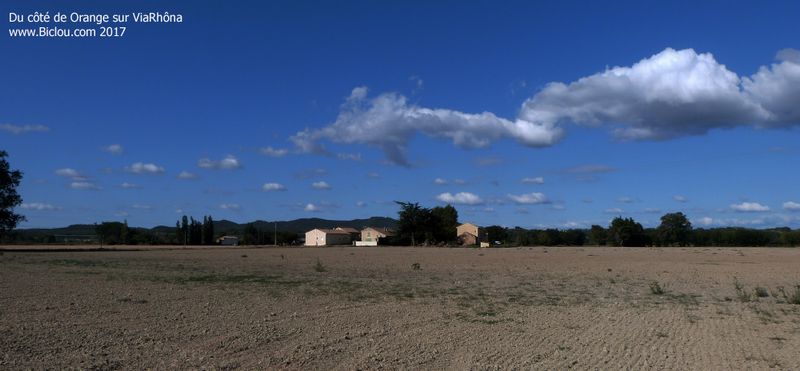 Sur ViaRhôna ; c'est la fin de l'été .. du côté de Orange 