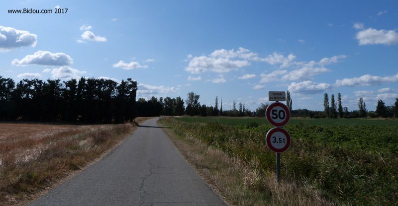 Sur ViaRhôna, après Mornas Piolenc, plein Sud