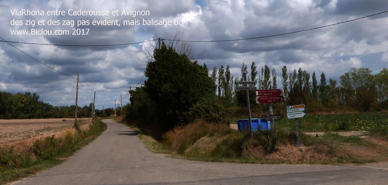ViaRhôna en Zigzag, après Caderousse vers Avignon