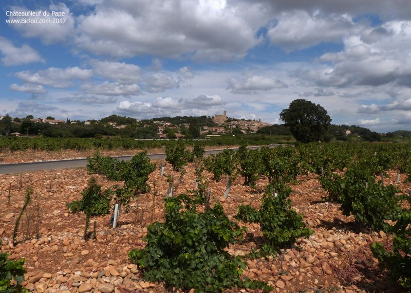 ViaRhôna; ChâteauNeuf du Pape : Dans les vignes du seigneur