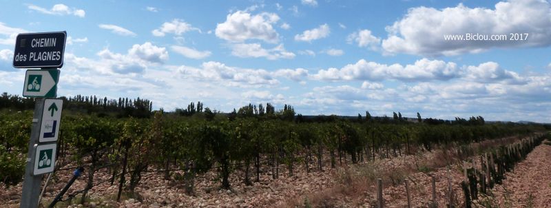ViaRhôna : Sortie de ChâteauNeuf du Pape par le Chemin des plagnes