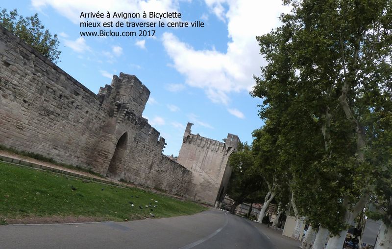 ViaRhôna sous les remparts d'Avignon 