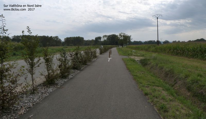 ViaRhôna en Nord Isère, longe la grand' route, les Troenes sécurisant les cyclistes 