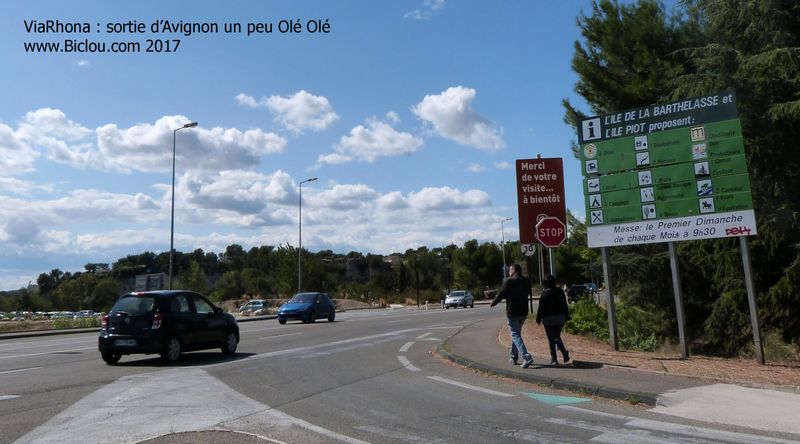 Sortie d'Avignon sur ViaRhôna, un peu Olé Olé ..