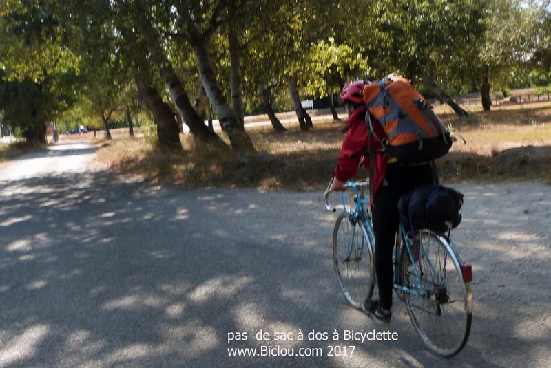 Une Sherpa, gente demoiselle sur ViaRhôna à Aramon