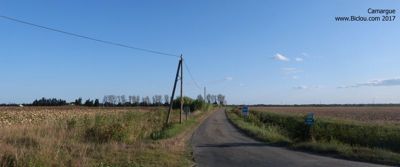 Sur le chemin du Beauvoir, ViaRhôna , en vélo Simone ..