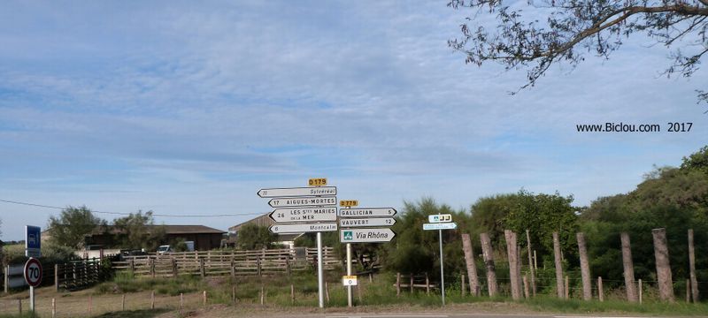 Viarhona en petite camargue, carrefour avant Arles 
