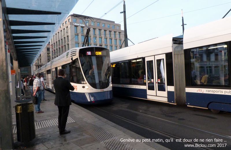 Départ de ViaRhôna : Genève au petit Matin ..